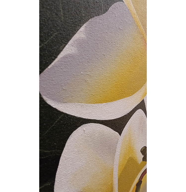 Yellow Frangipani Oil Painting