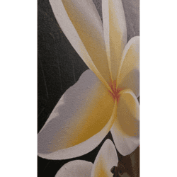 Yellow Frangipani Oil Painting