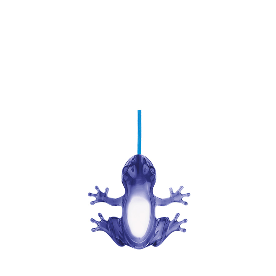 Hungry Frog - Sapphire Hungry Frog - Sapphire
