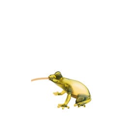 Hungry Frog - Topaz Hungry Frog - Topaz