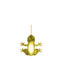 Hungry Frog - Topaz Hungry Frog - Topaz