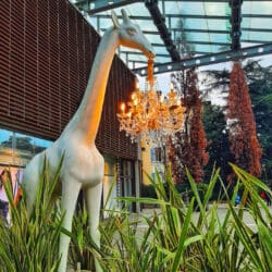 Giraffe In Love M Indoor Giraffe In Love M Indoor