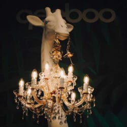 Giraffe In Love M Indoor Giraffe In Love M Indoor