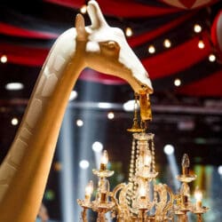 Giraffe In Love M Indoor Giraffe In Love M Indoor