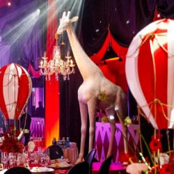 Giraffe In Love M Indoor Giraffe In Love M Indoor