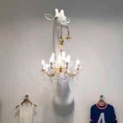 Giraffe In Love Giraffe In Love