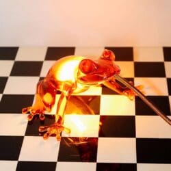 Hungry Frog - Amber Hungry Frog - Amber