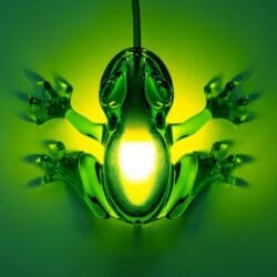 Hungry Frog - Emerald Hungry Frog - Emerald