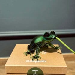 Hungry Frog - Emerald Hungry Frog - Emerald